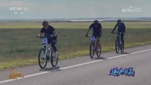 云达不莱梅3-3法兰克福，卡利穆恩多首开记录，