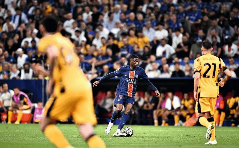 从职业联赛 从职业联赛