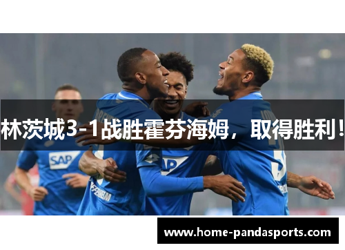 林茨城3-1战胜霍芬海姆，取得胜利！