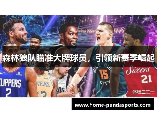 森林狼队瞄准大牌球员，引领新赛季崛起